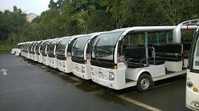 燃油观光车服务于张坝桂圆林风景区