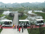 燃油观光车/内燃观光车服务于四川相如湖景区