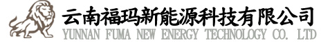 燃油观光车-汽油观光车-内燃观光车-品牌官网